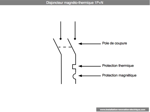 disjoncteur-magneto-thermique-1P-N.jpg?x31111