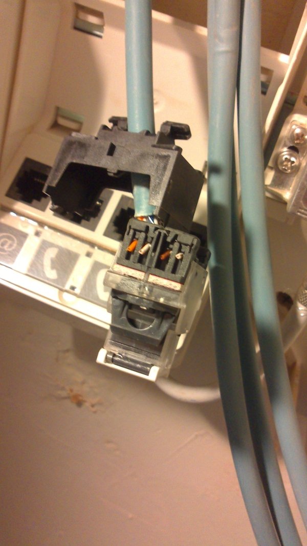 finition-prise-RJ45-couper-fils