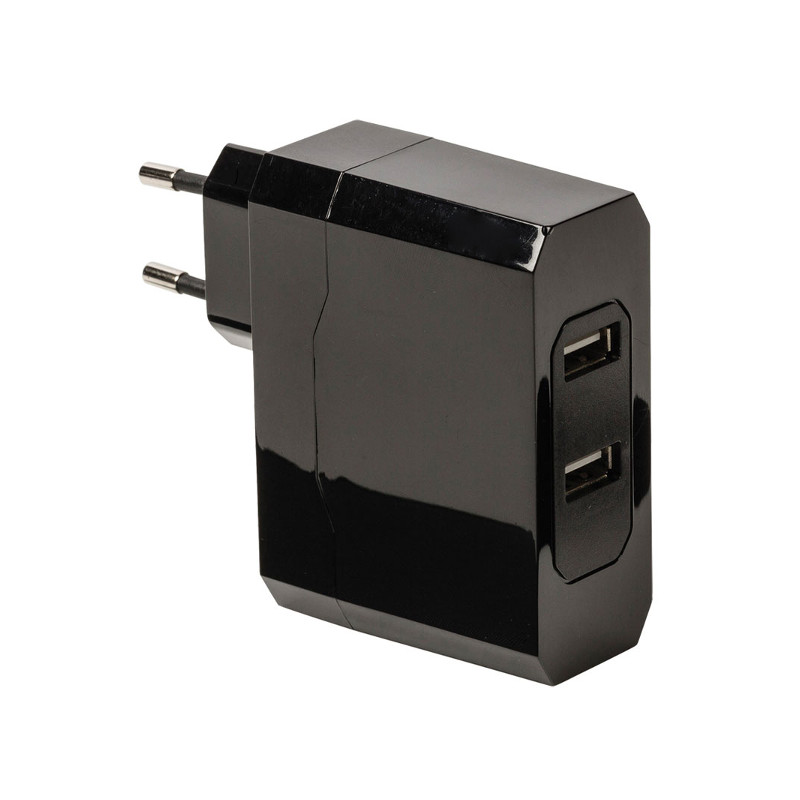 Prise murale USB Prise de courant murale multifonctionnelle EU Plug avec  double port USB pour le chargement du téléphone 250V - Cdiscount Bricolage