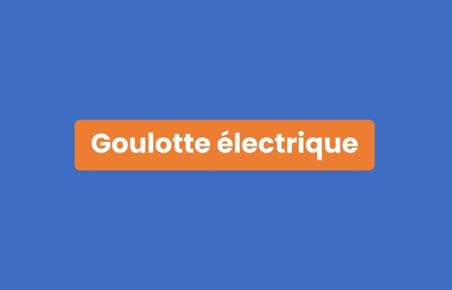 Goulotte électrique