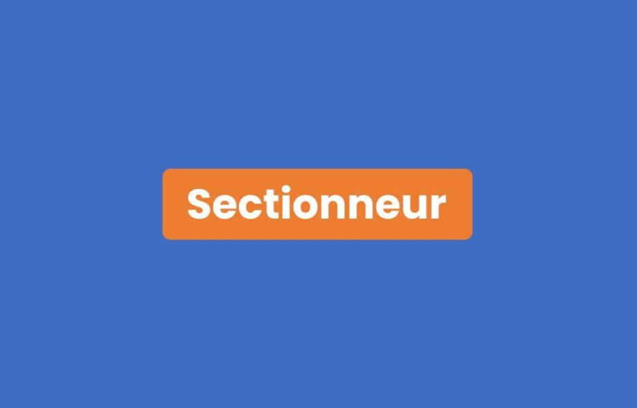 Sectionneur