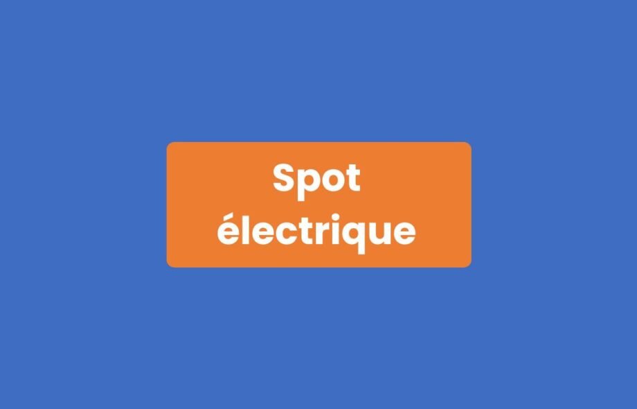 Spot électrique