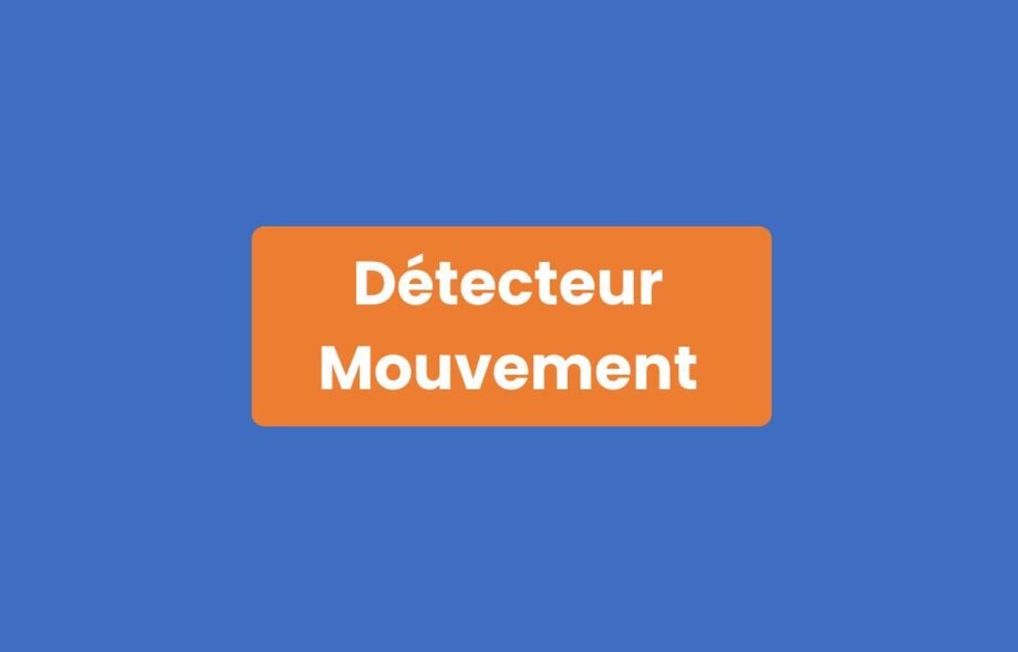 Détecteur Mouvement