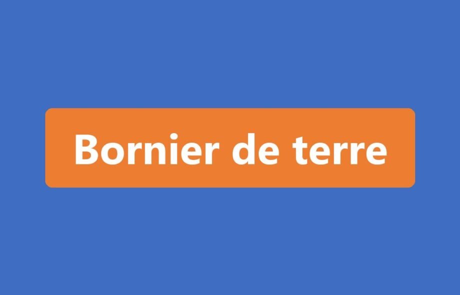 Bornier de terre