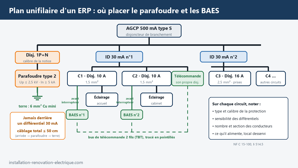 Plan unifilaire d'un ERP : parafoudre en tête derrière le disjoncteur de branchement, BAES sur les circuits d'éclairage avec leur télécommande