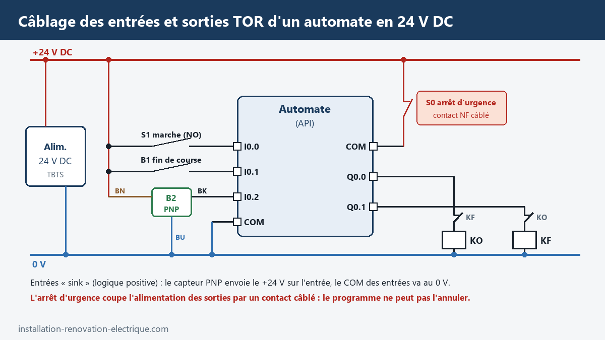 Câblage des entrées et sorties TOR d'un automate programmable en 24 V DC : bouton, fin de course, capteur PNP 3 fils, bobines KO et KF verrouillées et arrêt d'urgence câblé