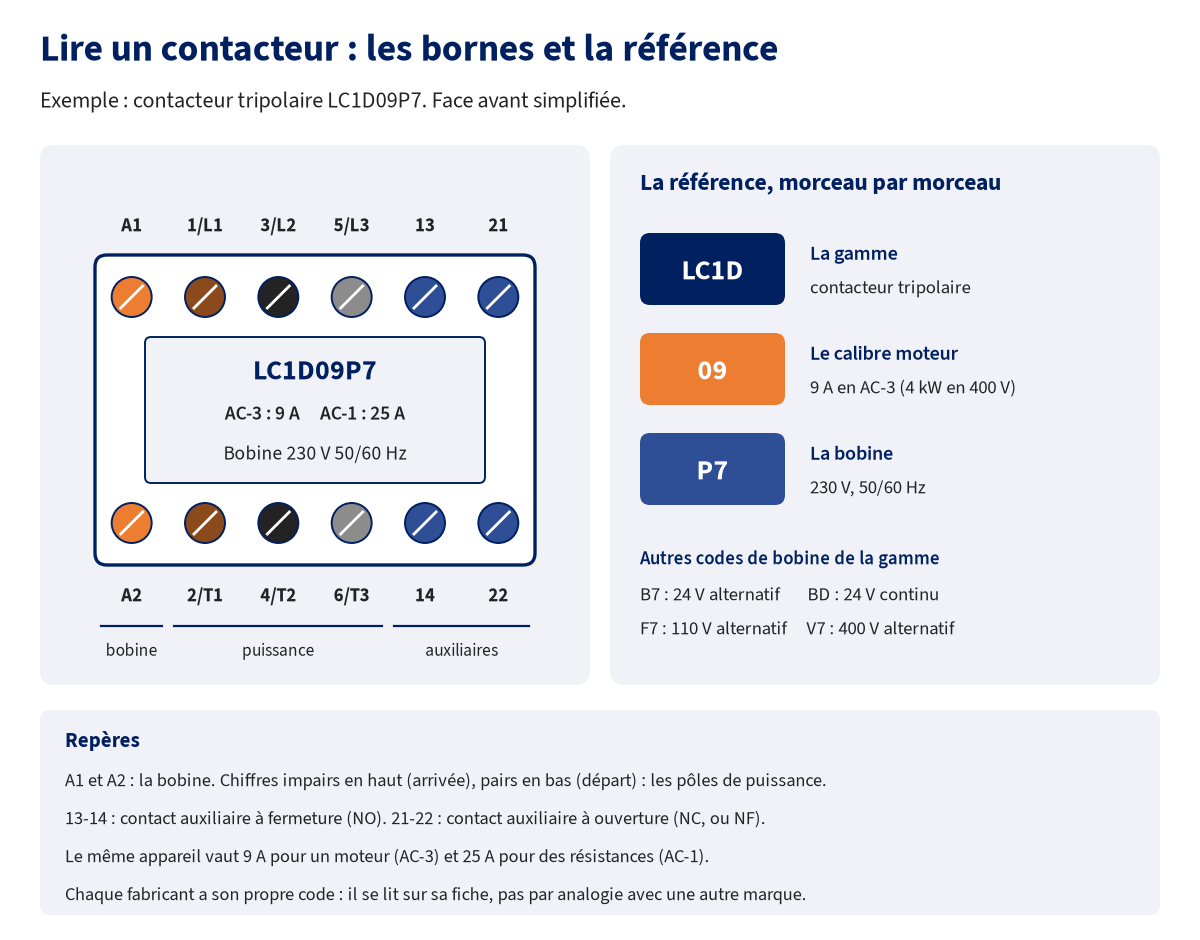 Face avant simplifiée d'un contacteur tripolaire avec ses bornes A1, A2, 1/L1, 3/L2, 5/L3, 2/T1, 4/T2, 6/T3, 13-14 et 21-22, et décodage de la référence LC1D09P7 : LC1D pour la gamme, 09 pour 9 A en AC-3, P7 pour la bobine 230 V