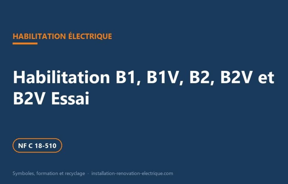 Habilitation B1, B1V, B2, B2V et B2V Essai : travaux, formation, titre