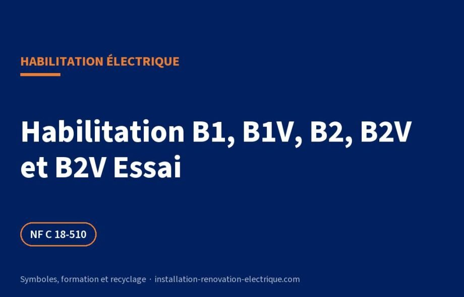Habilitation B1, B1V, B2, B2V et B2V Essai : travaux, formation, titre