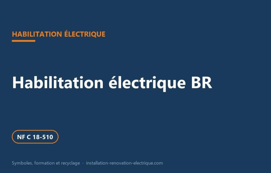 Habilitation électrique BR : ce qu&rsquo;elle autorise, formation, recyclage