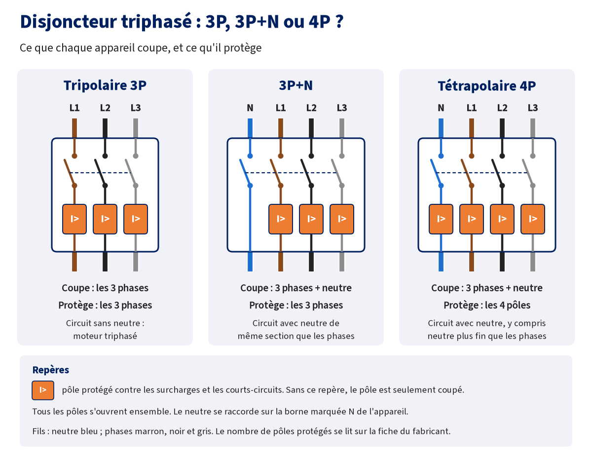 Schéma comparant trois disjoncteurs triphasés : le tripolaire 3P coupe et protège les trois phases ; le 3P+N coupe les trois phases et le neutre mais ne protège que les phases ; le tétrapolaire 4P coupe et protège les quatre pôles