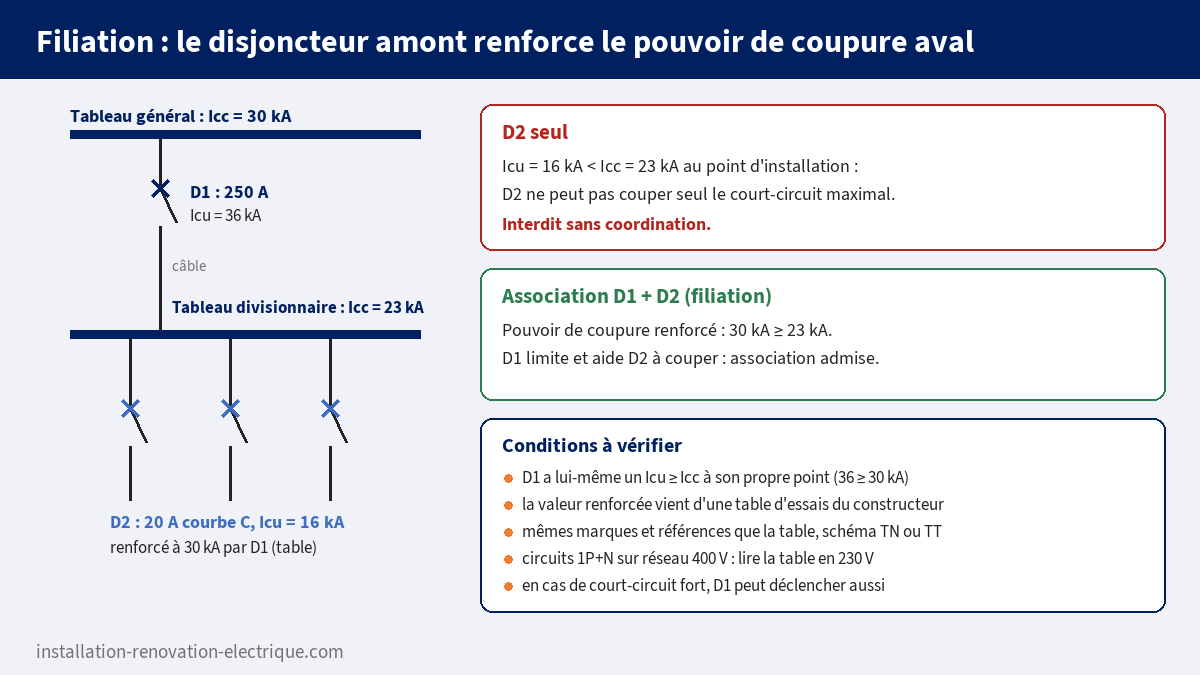 Schéma de filiation : disjoncteur amont 250 A de 36 kA renforçant le pouvoir de coupure d'un disjoncteur aval 20 A de 16 kA à 30 kA pour un court-circuit de 23 kA