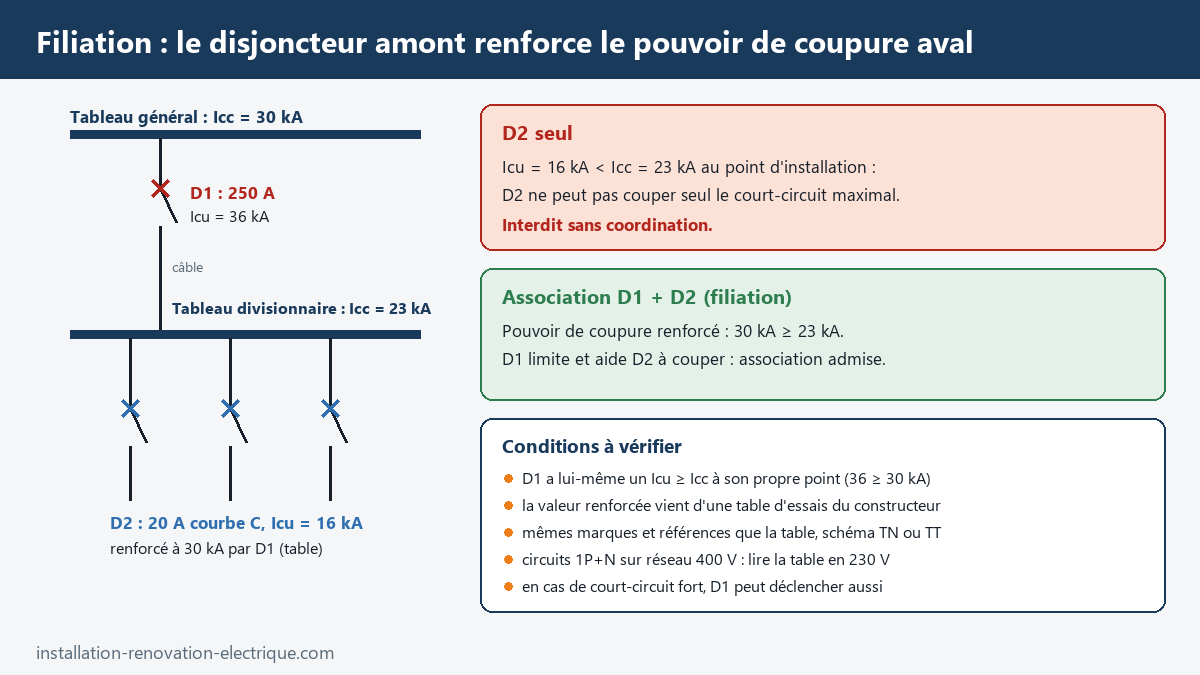 Schéma de filiation : disjoncteur amont 250 A de 36 kA renforçant le pouvoir de coupure d'un disjoncteur aval 20 A de 16 kA à 30 kA pour un court-circuit de 23 kA