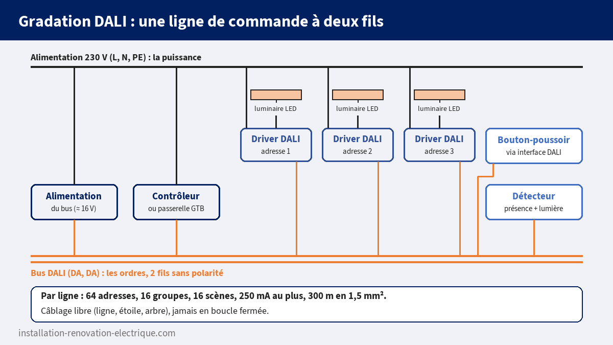 Schéma de principe d'un bus DALI : alimentation de bus, contrôleur, drivers adressés, détecteur et bouton-poussoir sur deux fils, 64 adresses par ligne