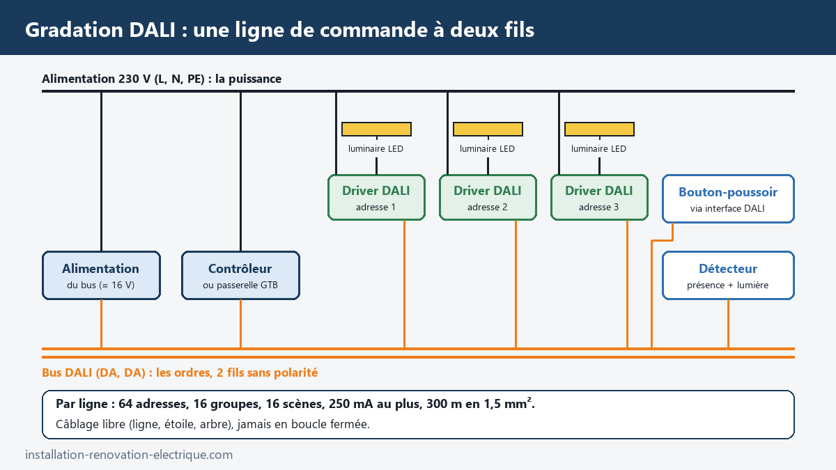 Schéma de principe d'un bus DALI : alimentation de bus, contrôleur, drivers adressés, détecteur et bouton-poussoir sur deux fils, 64 adresses par ligne