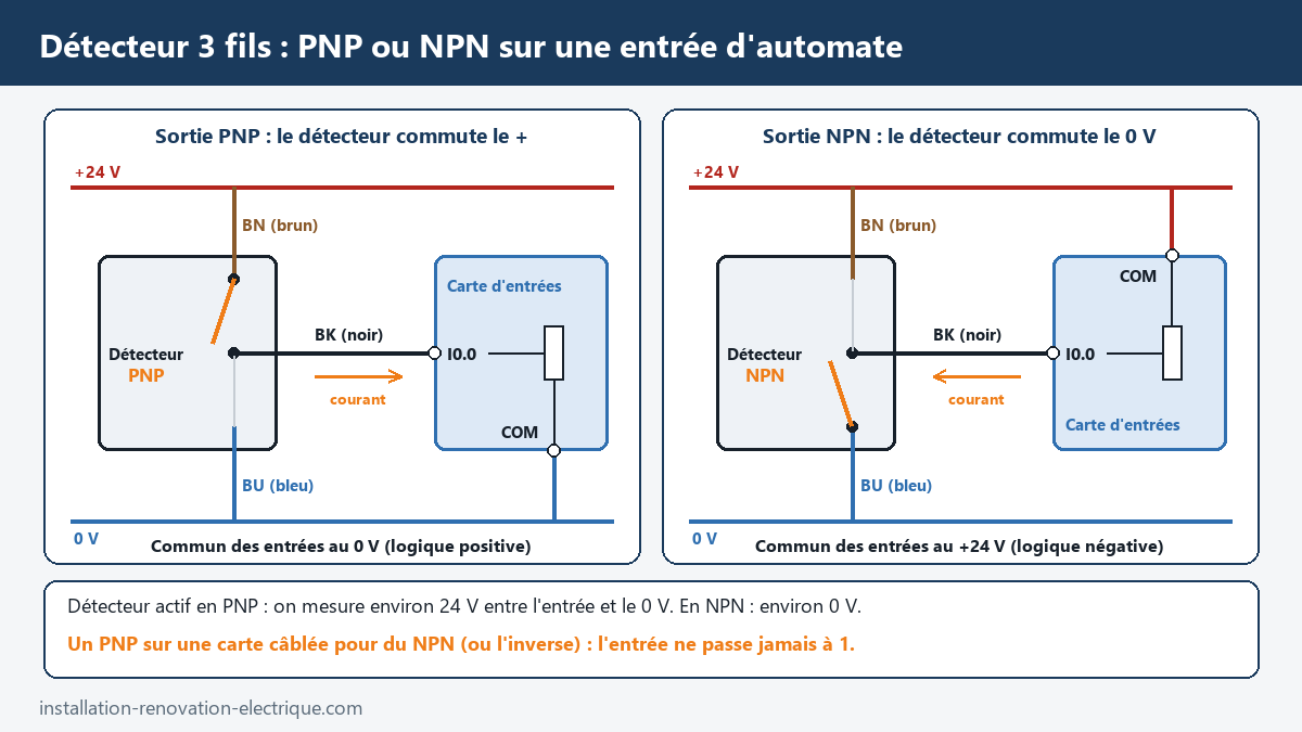 Schéma de raccordement d'un détecteur 3 fils PNP et NPN sur une entrée d'automate 24 V : fils brun, bleu et noir, commun des entrées au 0 V ou au +24 V